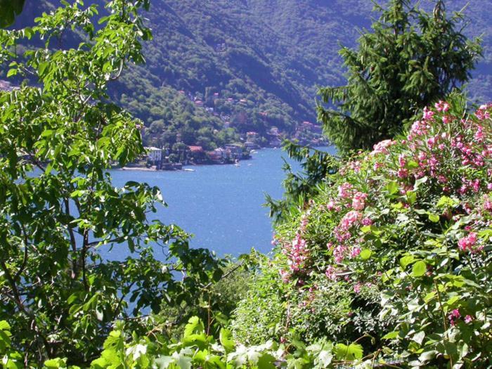 Sonia - Musica & Aperol Panorama-Fewo Lägenhet Pognana Lario Exteriör bild